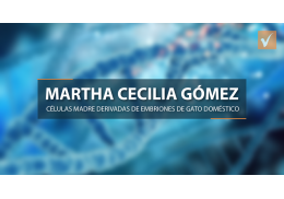 Martha Cecilia Gomez