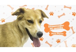 Dispensador de Comida para mascotas con Arduino